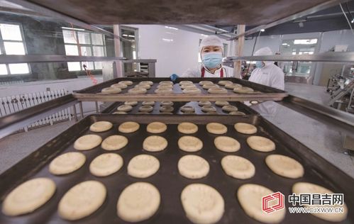 昌吉高新區(qū)葡萄樹食品 亞麻籽馕的傳統(tǒng)工藝與現(xiàn)代生產