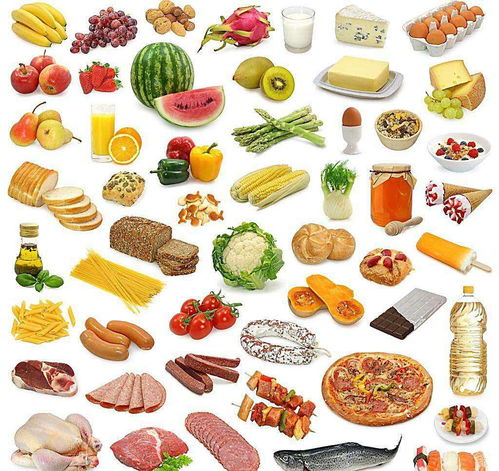 上海普陀區(qū)辦理食品經營許可證的費用與注意事項